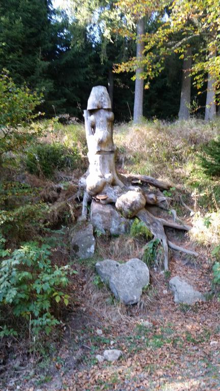 布劳恩拉格Harz-Zauber公寓 外观 照片